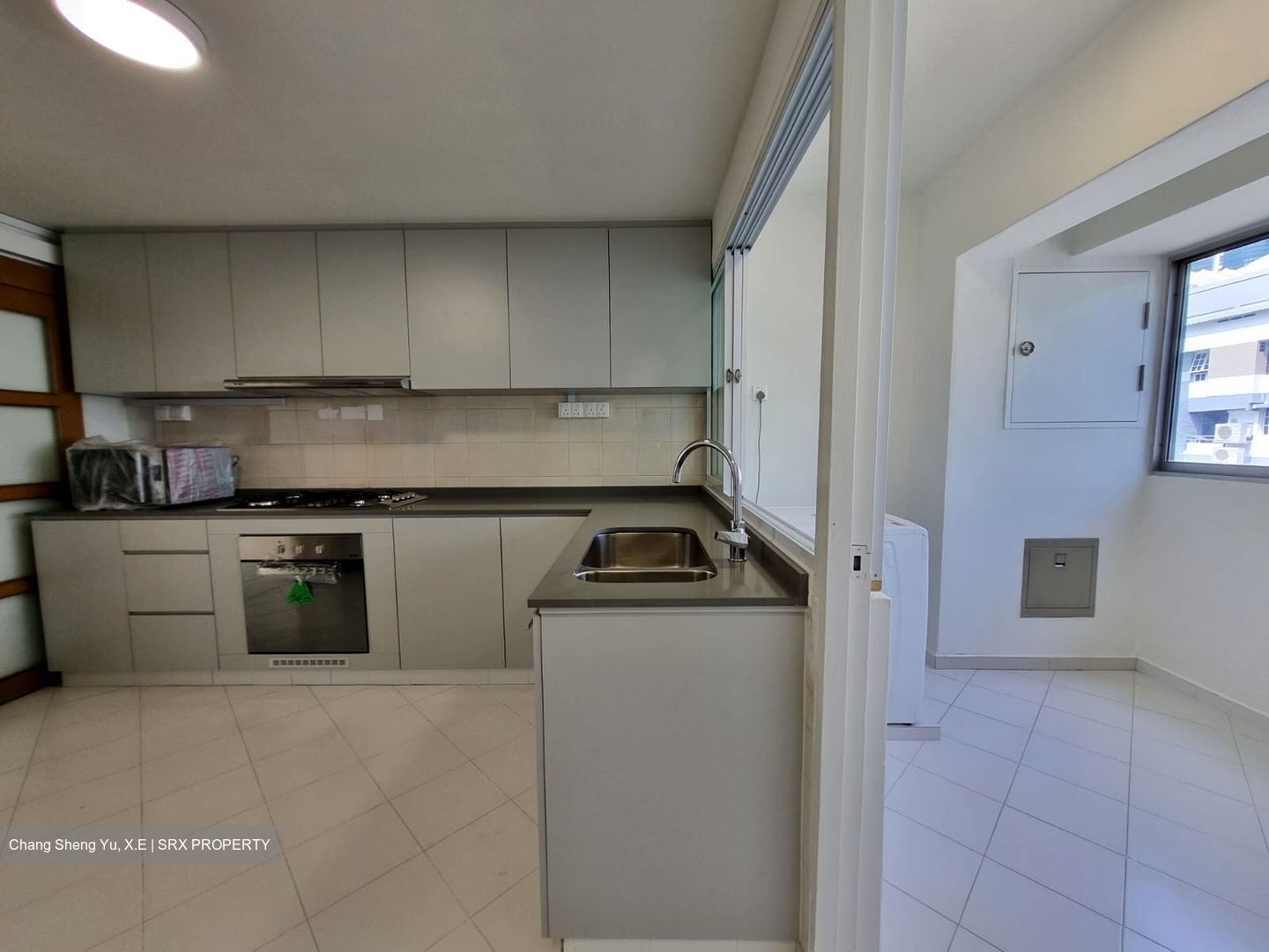 Dunearn Road (D11), Condominium #484958721